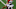 NFL 2021 NFL 2021