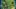 Fortnite Fortnite