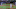 (MLB.TV)