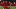 LIVERPOOL PLAYER RATINGS LIVERPOOL PLAYER RATINGS
