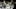 Michigan State basketball Michigan State basketball