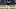 TAMPA, FL – FEBRUARY 15: New York Yankees starting pitcher Chance Adams (83) during a New York Yankees spring training workout on February 15, 2017, at George M. Steinbrenner Field in Tampa, FL. (Photo by /Icon Sportswire via Getty Images) TAMPA, FL – FEBRUARY 15: New York Yankees starting pitcher Chance Adams (83) during a New York Yankees spring training workout on February 15, 2017, at George M. Steinbrenner Field in Tampa, FL. (Photo by /Icon Sportswire via Getty Images)