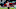 Barcelona want Donyell Malen Barcelona want Donyell Malen