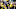 Michigan Wolverines Michigan Wolverines