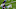 Dallas Cowboys Dallas Cowboys