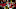 Atlanta Falcons quarterback Atlanta Falcons quarterback