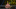WWE, Brock Lesnar WWE, Brock Lesnar