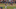 chapman-101-mph-k chapman-101-mph-k