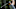 Patrick Reed DraftKings Dell Technologies Patrick Reed DraftKings Dell Technologies