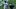 Cleveland Indians Cleveland Indians