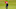 Sep 26, 2021; Haven, Wisconsin, USA; Team USA player Justin Thomas plays from the fairway on the first hole during day two four-ball rounds for the 43rd Ryder Cup golf competition at Whistling Straits. Mandatory Credit: Kyle Terada-USA TODAY Sports Sep 26, 2021; Haven, Wisconsin, USA; Team USA player Justin Thomas plays from the fairway on the first hole during day two four-ball rounds for the 43rd Ryder Cup golf competition at Whistling Straits. Mandatory Credit: Kyle Terada-USA TODAY Sports