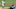 FanDuel MLB