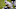 Penn State Football Penn State Football