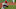 Yadier Molina Yadier Molina