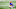 Florida football Florida football