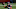 Chicago Bears, Mitch Trubisky Chicago Bears, Mitch Trubisky