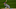 MLB DFS MLB DFS