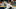 (Photo by Bob Levey/Getty Images) – Los Angeles Angels (Photo by Bob Levey/Getty Images) – Los Angeles Angels