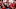 LOUISVILLE, KY – OCTOBER 20: Louisville Cardinals fan cheers (Photo by Joe Robbins/Getty Images) LOUISVILLE, KY – OCTOBER 20: Louisville Cardinals fan cheers (Photo by Joe Robbins/Getty Images)