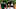 Oakland Athletics Oakland Athletics