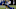 Kentucky football