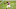 Chicago Bears, Dwayne Haskins Chicago Bears, Dwayne Haskins