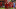 Liverpool Monterrey Player Ratings Liverpool Monterrey Player Ratings