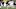 Green Bay Packers Green Bay Packers
