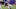 Dec 1, 2013; Minneapolis, MN, USA; Minnesota Vikings tight end John Carlson (89) against the Chicago Bears at Mall of America Field at H.H.H. Metrodome. The Vikings defeated the Bears 23-20 in overtime. Mandatory Credit: Brace Hemmelgarn-USA TODAY Sports Dec 1, 2013; Minneapolis, MN, USA; Minnesota Vikings tight end John Carlson (89) against the Chicago Bears at Mall of America Field at H.H.H. Metrodome. The Vikings defeated the Bears 23-20 in overtime. Mandatory Credit: Brace Hemmelgarn-USA TODAY Sports