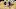 Knicks Knicks