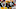 Green Bay Packers Green Bay Packers