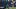 Chicago Bears, Riley Ridley Chicago Bears, Riley Ridley