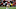 Atlanta Falcons Atlanta Falcons
