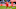 CHESTER, PA – OCTOBER 20: Red Bulls Midfielder Alex Muyl (19) dives for the ball in extra time during the MLS Playoff game between the New York Red Bulls and Philadelphia Union on October 20, 2019 at Talen Energy Stadium in Chester, PA. (Photo by Kyle Ross/Icon Sportswire via Getty Images) CHESTER, PA – OCTOBER 20: Red Bulls Midfielder Alex Muyl (19) dives for the ball in extra time during the MLS Playoff game between the New York Red Bulls and Philadelphia Union on October 20, 2019 at Talen Energy Stadium in Chester, PA. (Photo by Kyle Ross/Icon Sportswire via Getty Images)