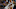 New York Knicks New York Knicks
