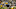 Green Bay Packers Green Bay Packers