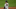 Yankees trade rumors, Luke Voit Yankees trade rumors, Luke Voit