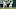 DraftKings DraftKings