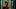Archive 81 Archive 81