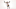 Boston Bruins defenseman Torey Krug (47). Boston Bruins defenseman Torey Krug (47).
