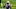 Buffalo Bills Buffalo Bills