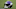 minnesota vikings minnesota vikings