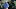 Justin Thomas PGA TOUR Schedule 2019