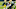 Green Bay Packers Green Bay Packers