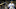 DraftKings DraftKings
