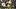 MINNEAPOLIS, MN – OCTOBER 15: Anthony Barr MINNEAPOLIS, MN – OCTOBER 15: Anthony Barr