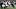 Seattle Seahawks Seattle Seahawks