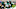 New York Jets New York Jets