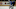 Colorado Avalanche, Patrick Roy