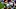 DraftKings college football DraftKings college football